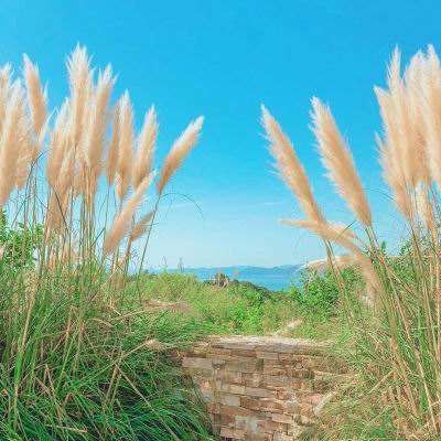 宝博游戏下载手机版