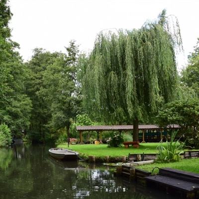 BOB·体育综合APP