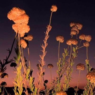 49图库资料免费大全资料澳门手机app下载截图