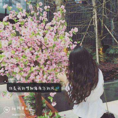 b体育登录入口app下载安装